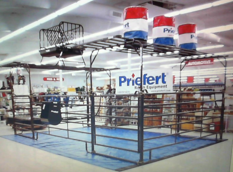 Indoor Equine Display.jpg